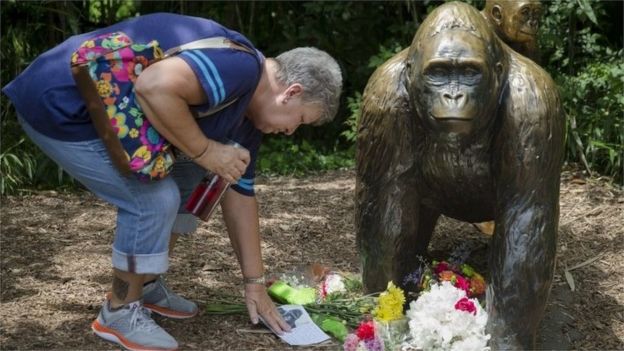 Harambe gorilla killing: Zoo defends shooting