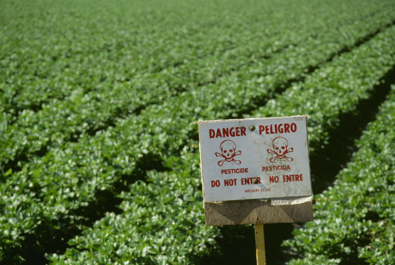 Pruitt chooses not to ban pesticide after scientists find neurotoxicity