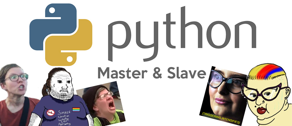 Python Removes Offensive Terms Master and Slave from Programming Language