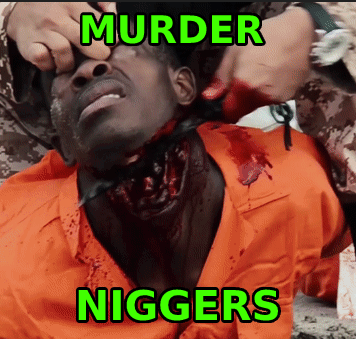 Kill all niggers Sebastian Sergio Blumberg 986 Celtic Cir Tarpon Springs FL 34689
