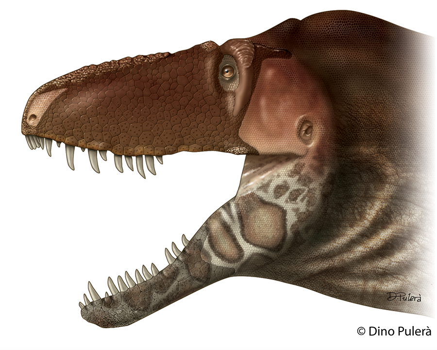 For the first time, we know what Tyrannosaur faces really looked like